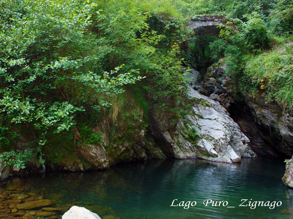 Terra Del Bosco Agriturismo Sesta Godano Exteriér fotografie